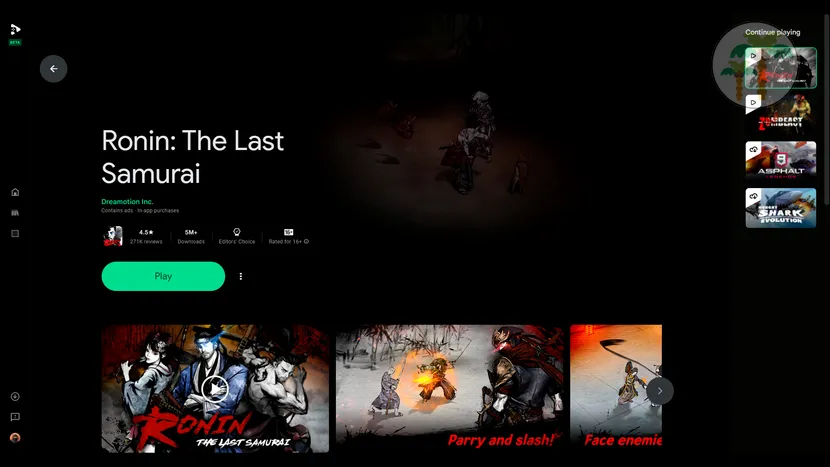 Ronin the Last Samurai